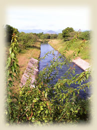 Irrigation system